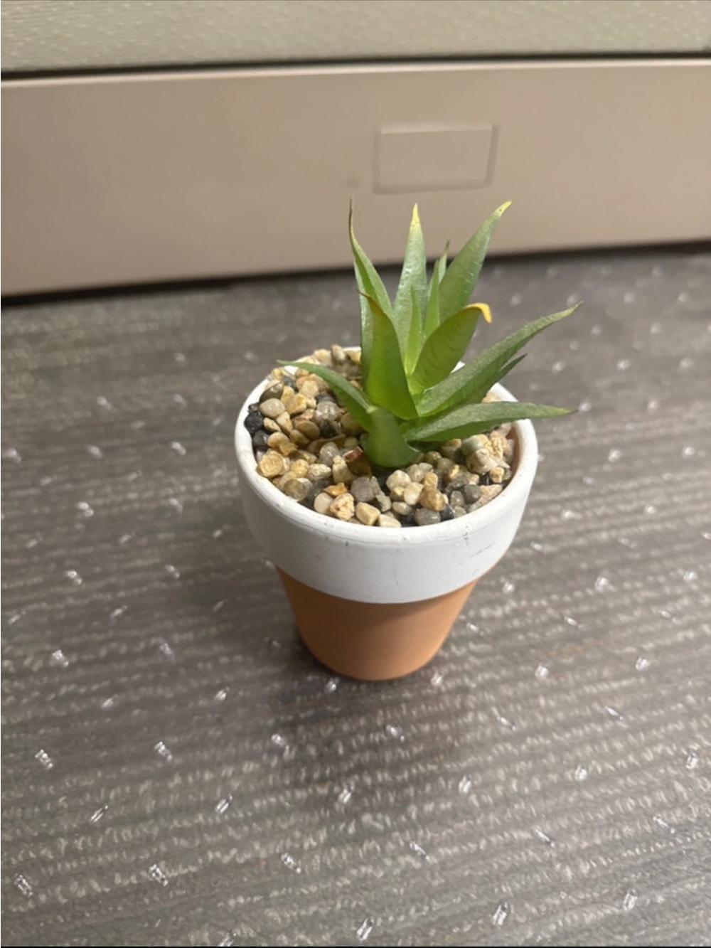 Mini Artificial Succulent in White and Terracotta Pot - Home Accents